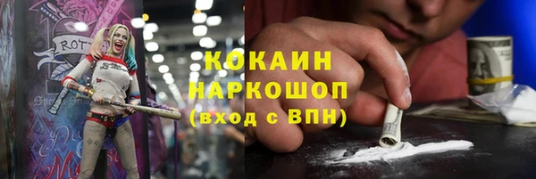 прущие грибы Володарск
