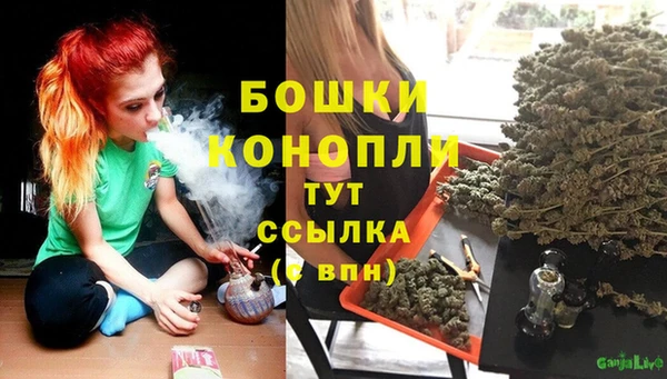 mdma Бородино