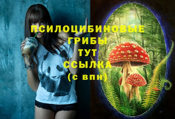прущие грибы Володарск