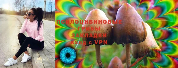 прущие грибы Володарск